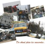 Le baobab, ça se mange aussi !