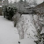 La brioche de Kayser, version couronne pour l’Épiphanie