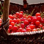 Focaccia moelleuse, dorée, aromatique